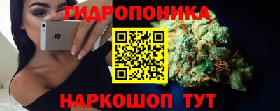 крисы Рузаевка