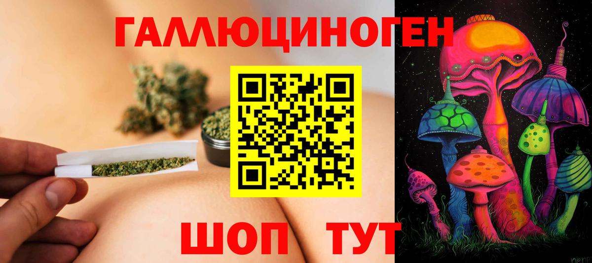 Псилоцибиновые грибы прущие грибы Советская Гавань